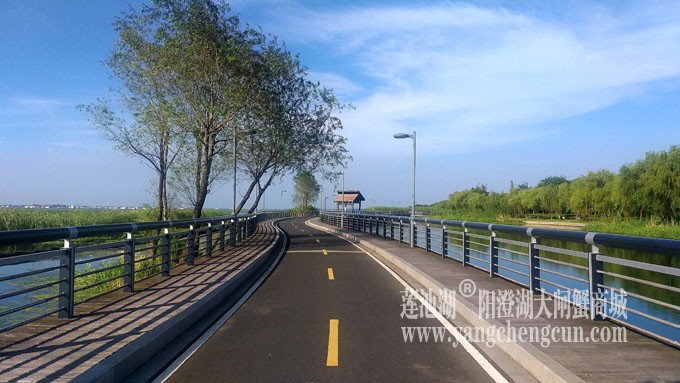 蓝天白云的日子(自行车道)