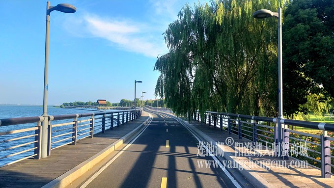 蓝天白云的日子(自行车道)