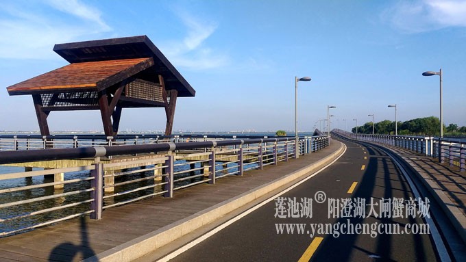 蓝天白云的日子(自行车道)