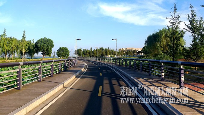 蓝天白云的日子(自行车道)