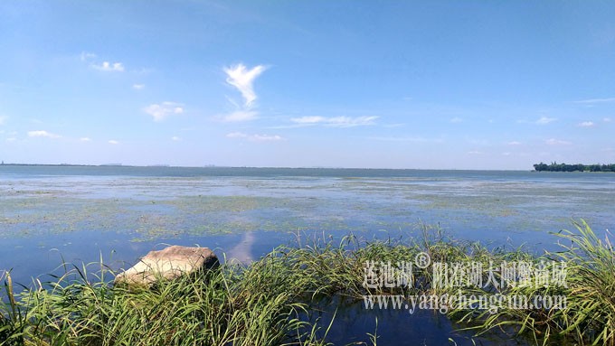 蓝天白云的日子(生态湿地)