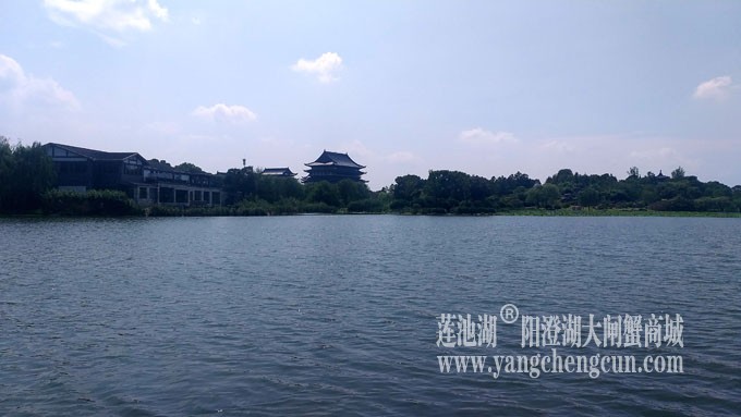 蓝天白云的日子(莲池湖)