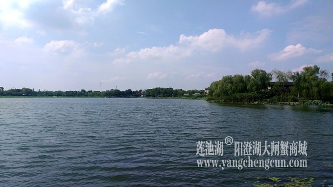 蓝天白云的日子(莲池湖)