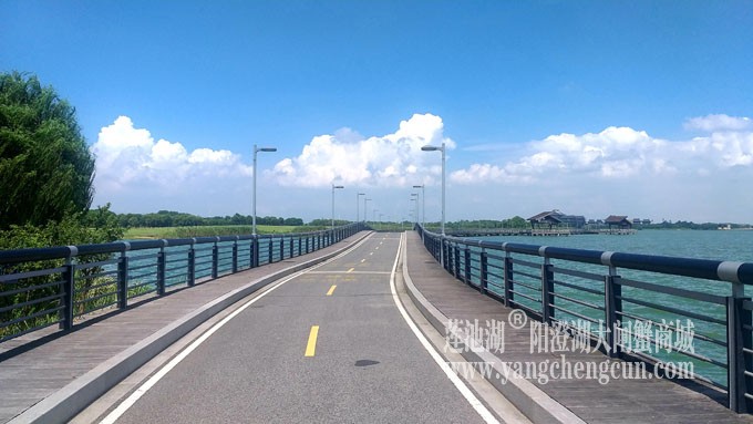 蓝天白云的日子(自行车道)