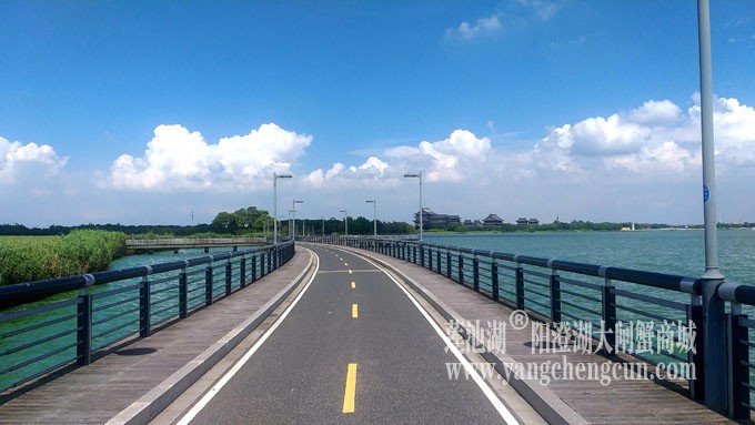 蓝天白云的日子(自行车道)