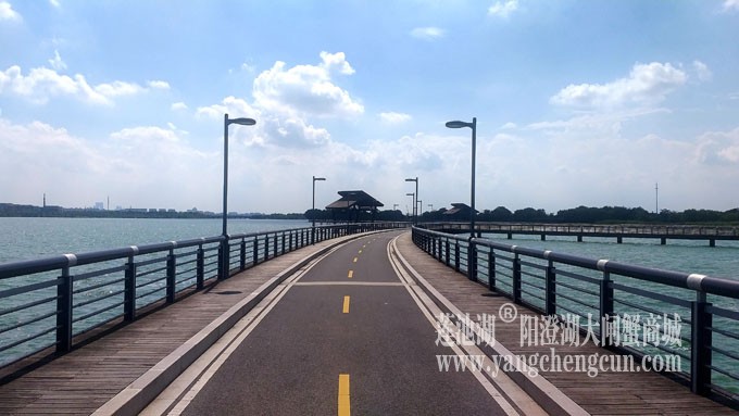 蓝天白云的日子(自行车道)