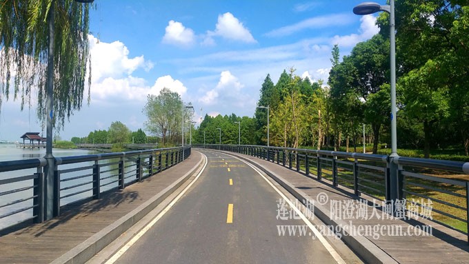 蓝天白云的日子(自行车道)