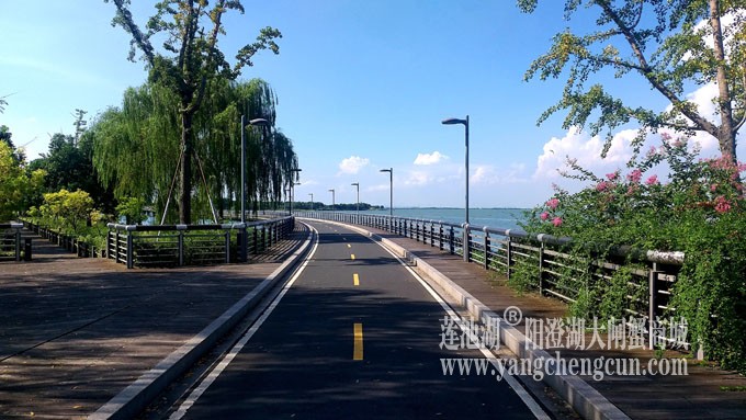 蓝天白云的日子(自行车道)