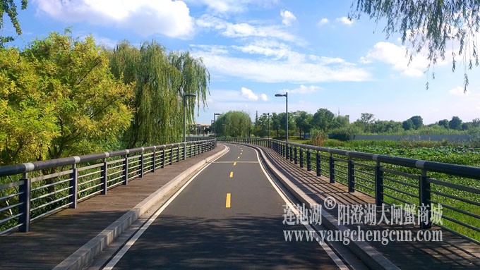 蓝天白云的日子(自行车道)