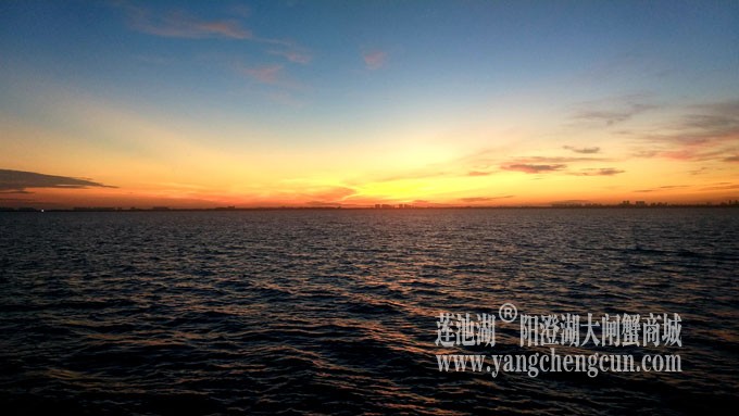 阳澄湖半岛——日出东方