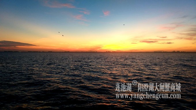 阳澄湖半岛——日出东方