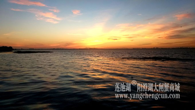 阳澄湖半岛——日出东方