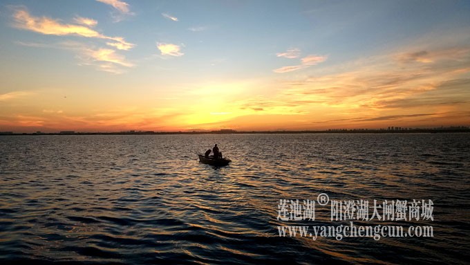 阳澄湖半岛——日出东方
