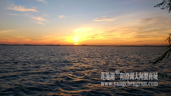 阳澄湖半岛——日出东方