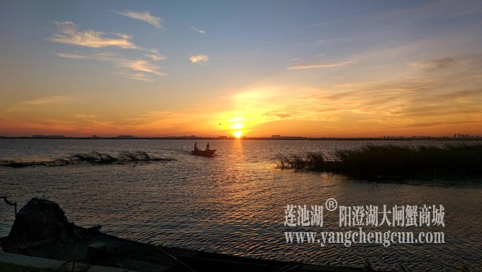 阳澄湖半岛——日出东方