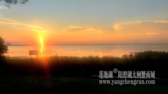 阳澄湖畔看夕阳