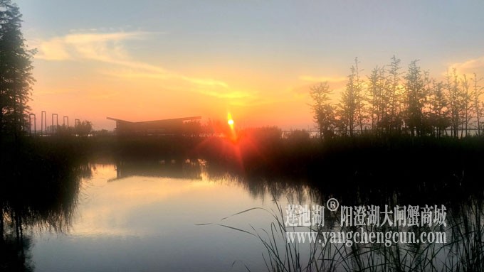 阳澄湖畔看夕阳