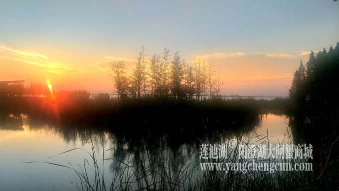 阳澄湖畔看夕阳