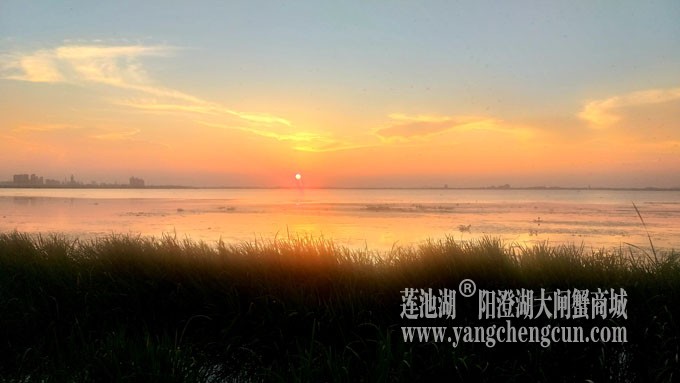 阳澄湖畔看夕阳