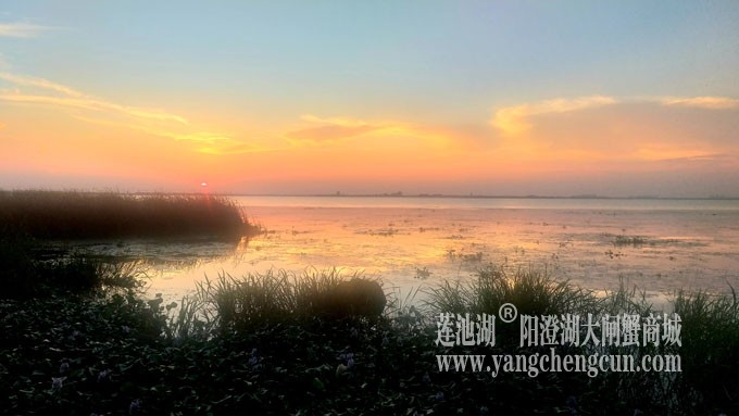 阳澄湖畔看夕阳