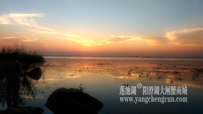 阳澄湖畔看夕阳
