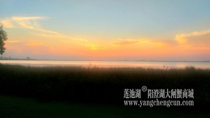 阳澄湖畔看夕阳