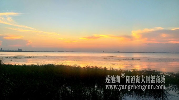 阳澄湖畔看夕阳