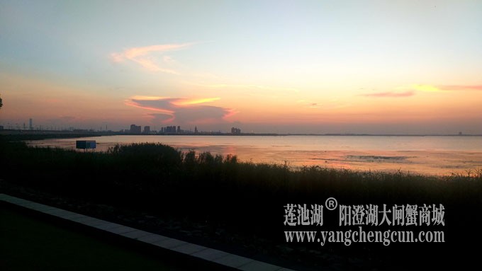 阳澄湖畔看夕阳