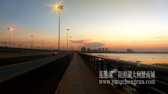 阳澄湖畔看夕阳