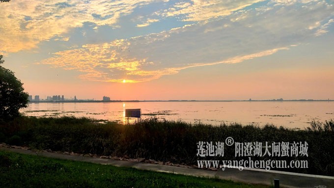 阳澄湖畔-又见夕阳红