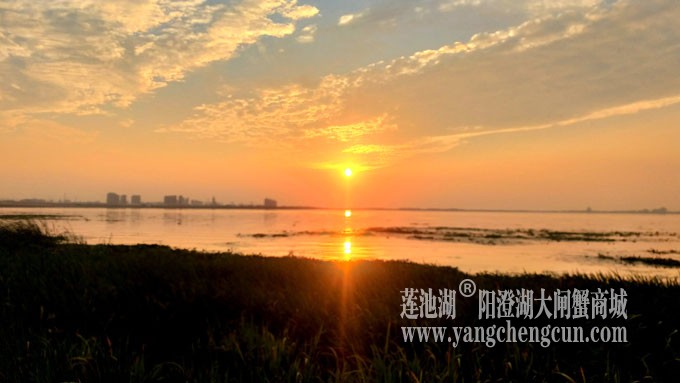 阳澄湖畔-又见夕阳红