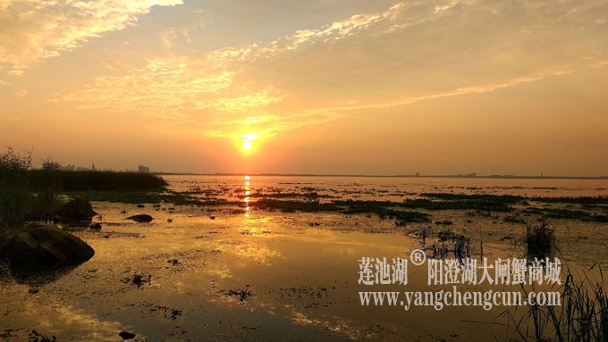 阳澄湖畔-又见夕阳红
