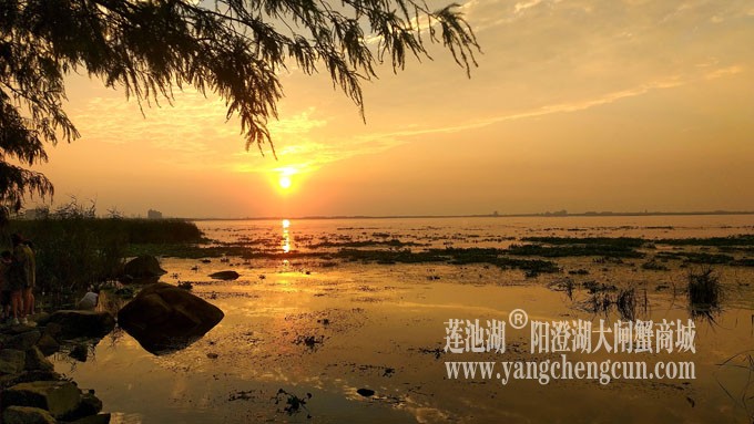 阳澄湖畔-又见夕阳红