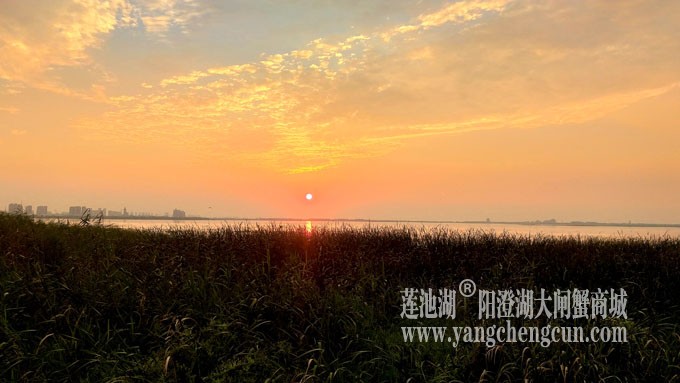 阳澄湖畔-又见夕阳红