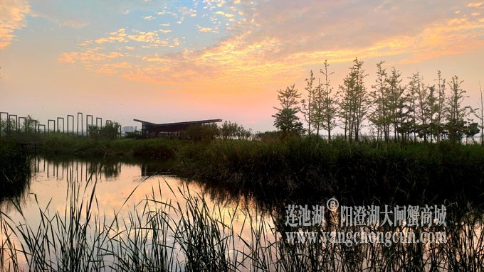 阳澄湖畔-又见夕阳红