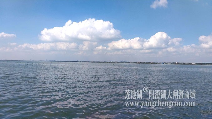 天凉好个秋——阳澄湖上