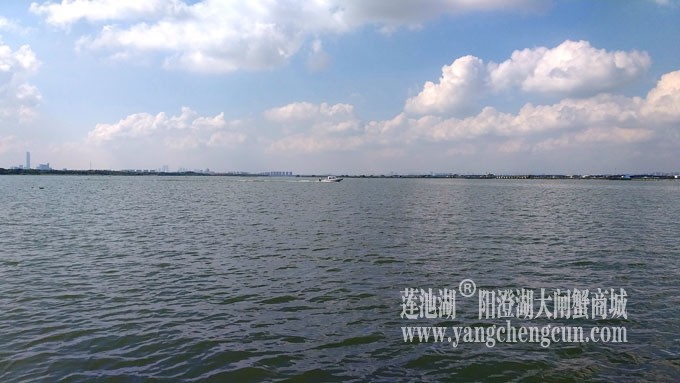 天凉好个秋——阳澄湖上