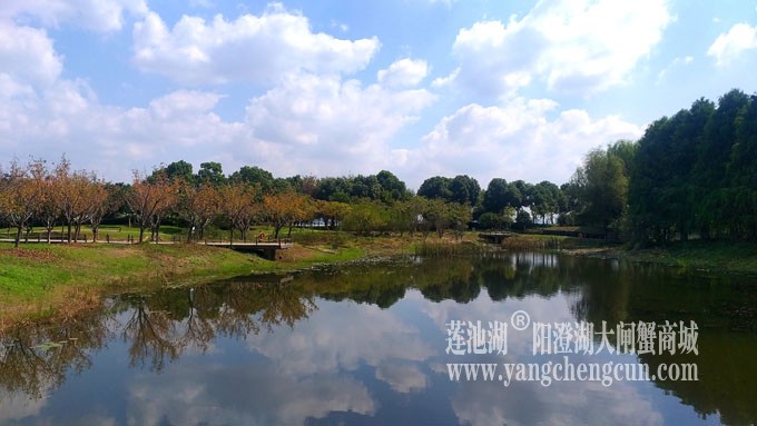 天凉好个秋——阳澄湖半岛