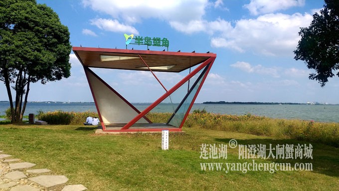 天凉好个秋——阳澄湖半岛