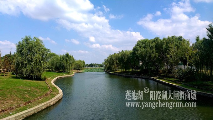 天凉好个秋——阳澄湖半岛