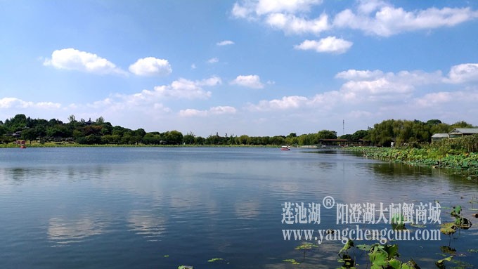 天凉好个秋——阳澄湖半岛