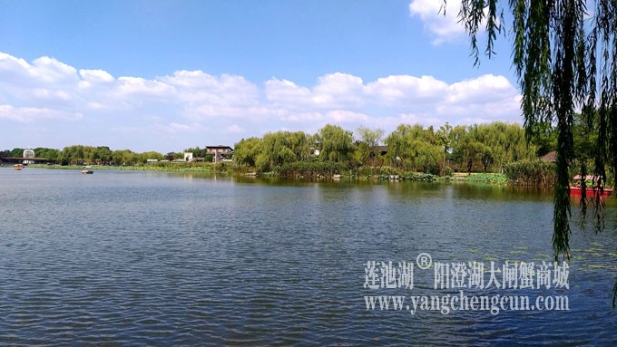 天凉好个秋——阳澄湖半岛