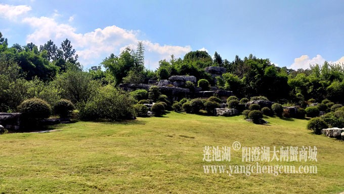 天凉好个秋——阳澄湖半岛