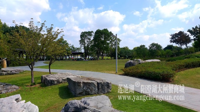 天凉好个秋——阳澄湖半岛