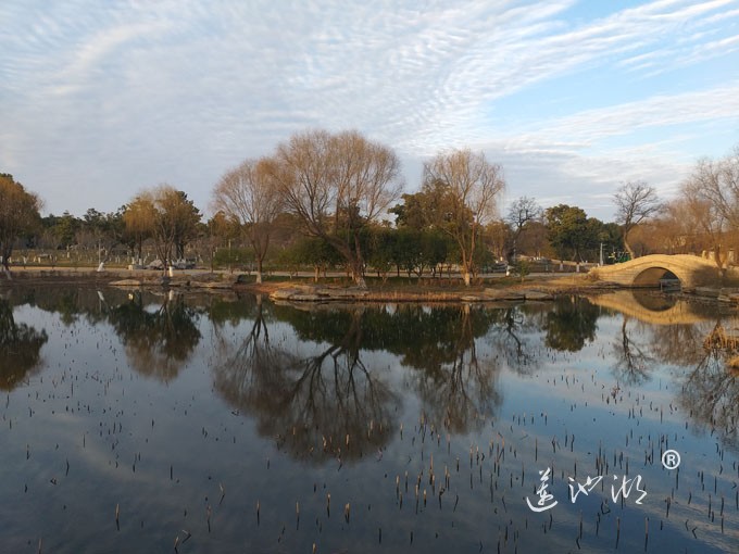 莲池湖冬早