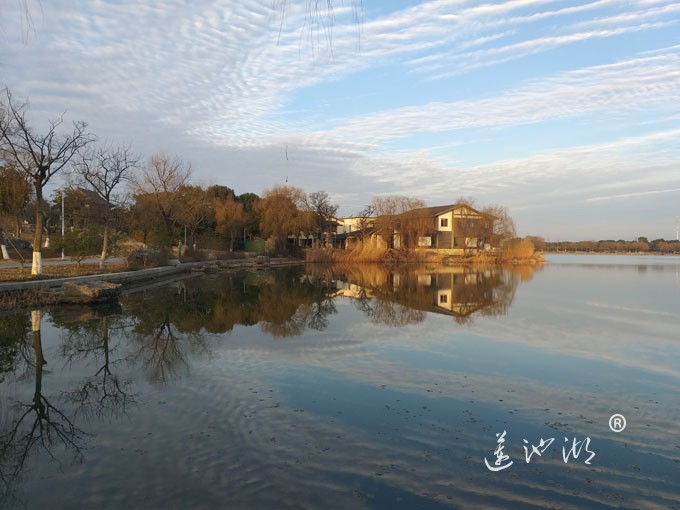 莲池湖冬早