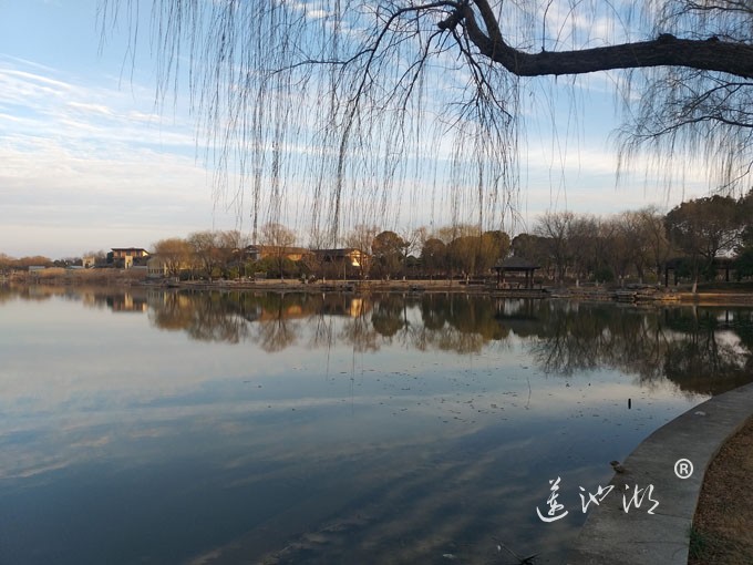 莲池湖冬早