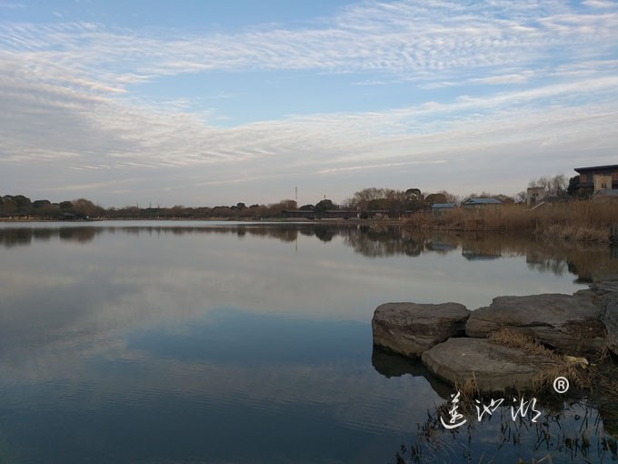 莲池湖冬早