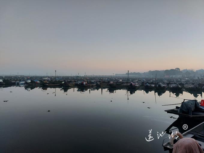 阳澄湖蟹农清晨上湖图