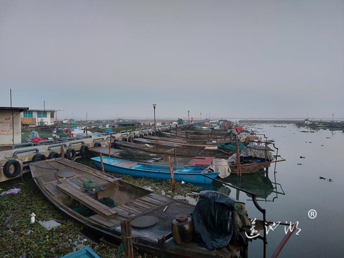 阳澄湖蟹农清晨上湖图